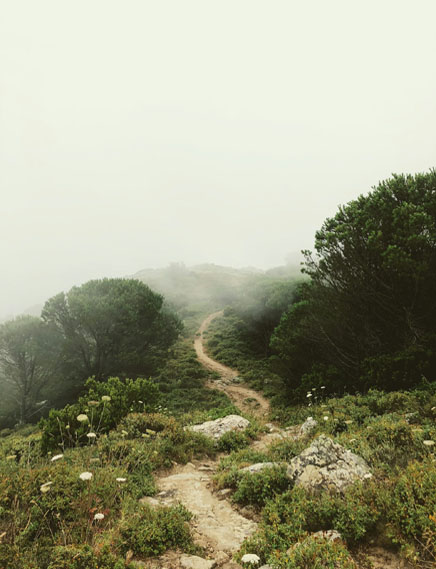 mountain trail