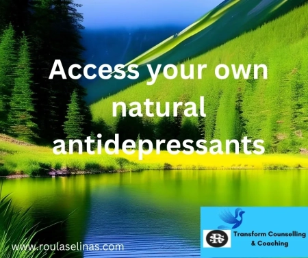 Learn How To Access Your Own Natural Anti Depressants Natural Remedies For Depression Learn How To Access Your Own Natural Anti Depressants Natural Remedies For Depression