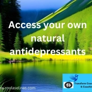 Learn How To Access Your Own Natural Anti Depressants Natural Remedies For Depression Learn How To Access Your Own Natural Anti Depressants Natural Remedies For Depression