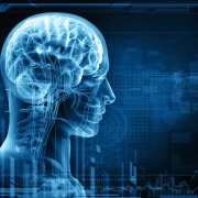Neuroplasticity, What is it and How Can You Benefit Neuroplasticity, What is it and How Can You Benefit