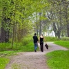 Understanding and Overcoming Barriers to Happiness Happiness Barriers
