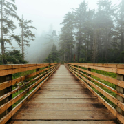 Walk over bridge in nature 1200×800 px peace walk over bridge in nature