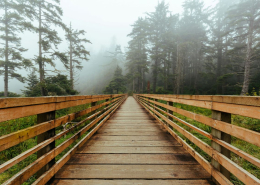 peace walk over bridge in nature