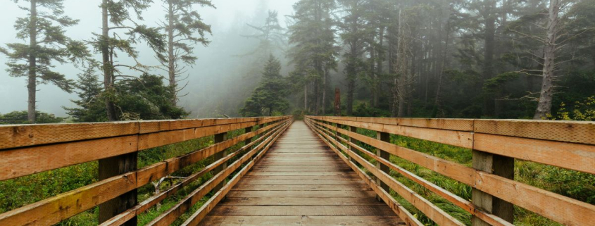 peace walk over bridge in nature