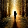 Woman walking in forest sunrise