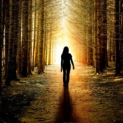 woman walking in forest with sunrise bright light ahead 1200 x 698 px Woman walking in forest sunrise